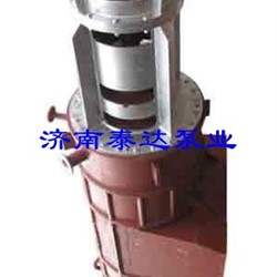RZL型高温熔盐立式轴流泵